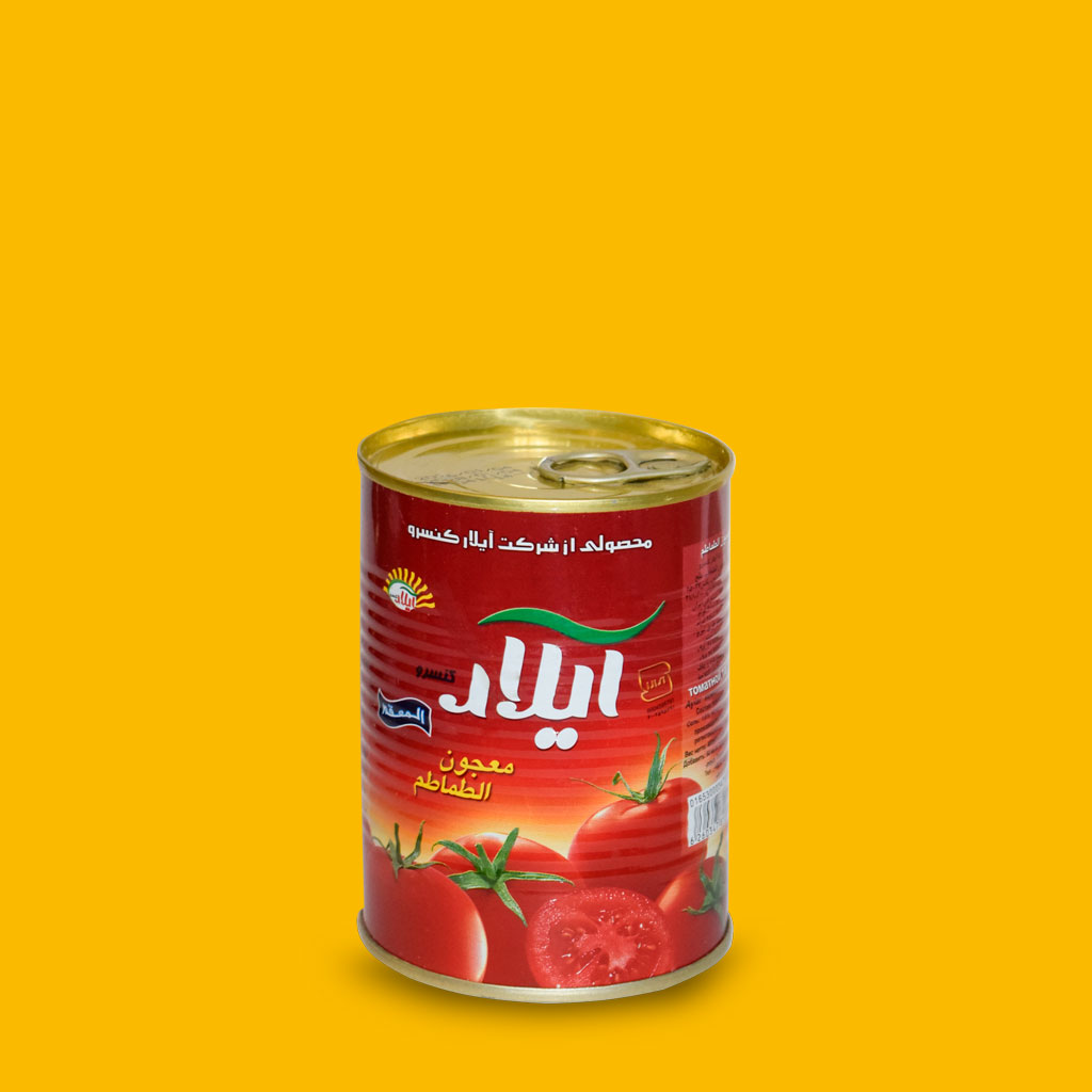 Aylar tomato paste, 400 g can