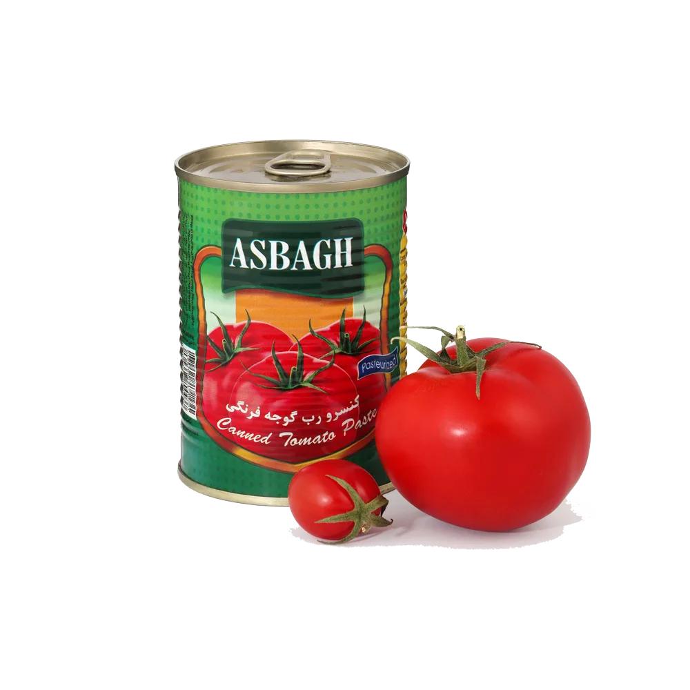 رب گوجه فرنگی 400 گرمی اسبق